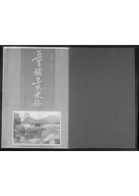 福建王氏族谱-五里埔王氏史志.pdf电子版插图1