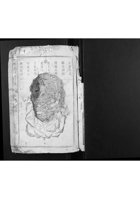 福建王氏族谱-大王坊王氏族谱.pdf电子版插图1 福建王氏族谱-大王坊王氏族谱.pdf电子版插图1