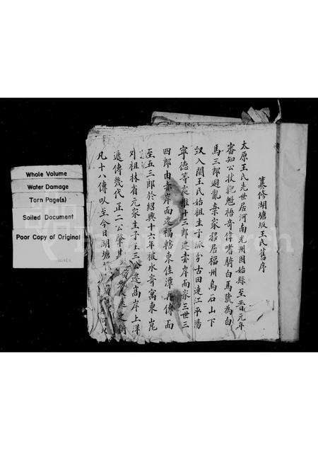 福建王氏族谱-湖塘坂溪王氏族谱.pdf电子版插图1