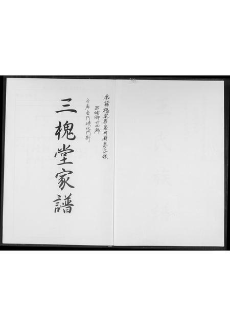 福建王氏族谱-[王氏]三槐堂家谱.pdf电子版插图1