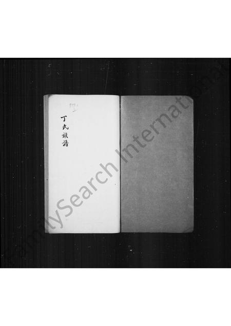 福建丁氏族谱-丁氏族谱.pdf电子版插图1