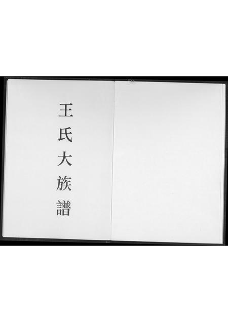 福建王氏族谱-王氏大族谱.pdf电子版插图1