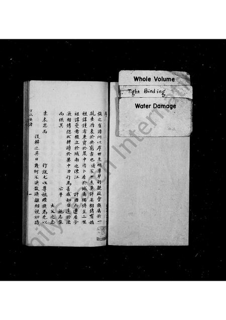 福建丁氏族谱-丁氏族谱.pdf电子版插图1