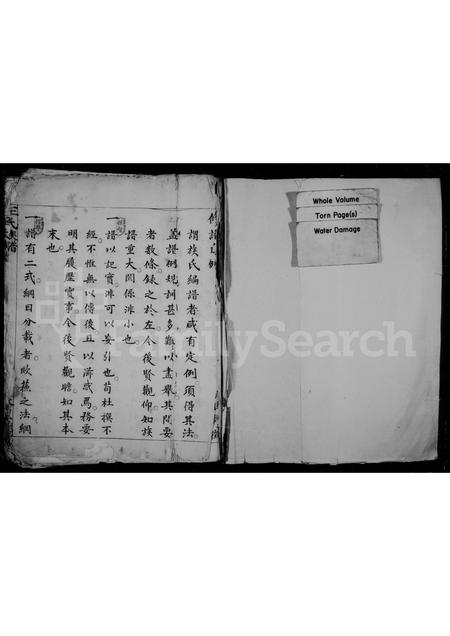 福建王氏族谱-王氏族谱.pdf电子版插图1