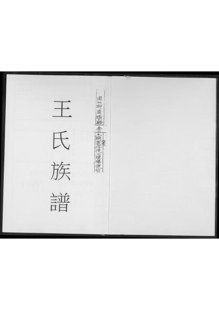 福建王氏族谱-王氏族谱.pdf电子版插图1