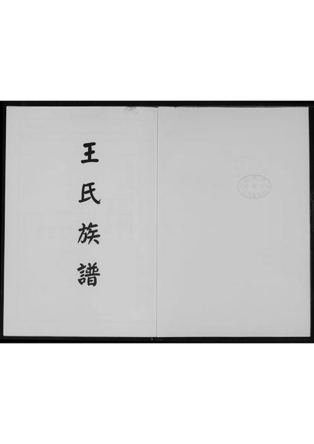 福建王氏族谱-王氏族谱.pdf电子版插图1