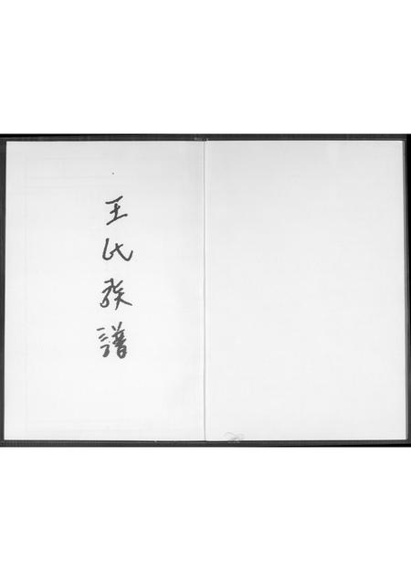 福建王氏族谱-王氏族谱. 王权公派下.pdf电子版插图1