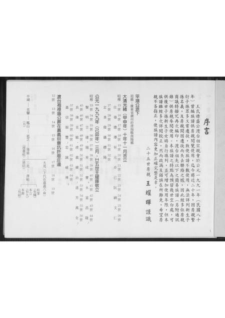 福建王氏族谱-王氏族谱.平湖公禄盛公渡台祖派下.pdf电子版插图1