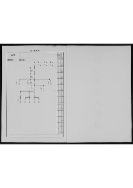福建王氏族谱-田心仔王氏家谱.pdf电子版插图2
