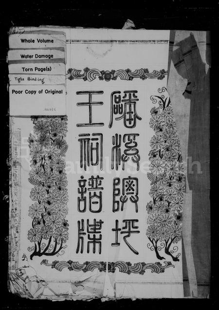 福建王氏族谱-磻溪隩坪王祠谱牒.pdf电子版插图2 福建王氏族谱-磻溪隩坪王祠谱牒.pdf电子版插图2