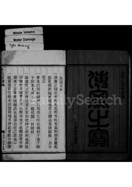 福建王氏族谱-王氏宗谱.pdf电子版插图2 福建王氏族谱-王氏宗谱.pdf电子版插图2