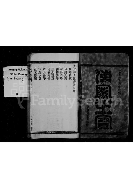 福建王氏族谱-王氏宗谱.pdf电子版插图2