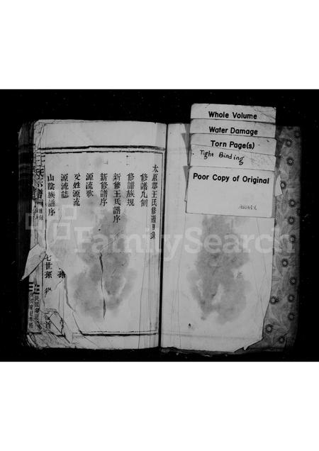 福建王氏族谱-王氏宗谱.pdf电子版插图2 福建王氏族谱-王氏宗谱.pdf电子版插图2