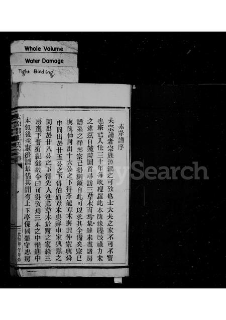 福建王氏族谱-太原郡王氏宗谱.pdf电子版插图2