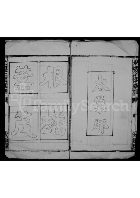 福建王氏族谱-尤墺王氏族谱.pdf电子版插图2