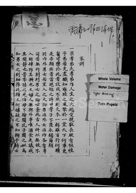 福建王氏族谱-王氏宗谱.pdf电子版插图2