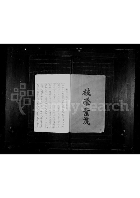 福建王氏族谱-王氏家乘.pdf电子版插图2