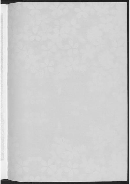 福建未知族谱-[王氏]南安象运黄田月湖公族谱.pdf电子版插图2