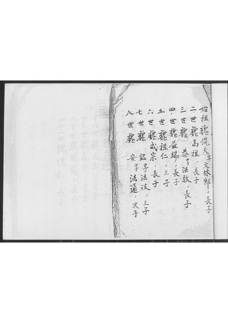 福建魏氏族谱-魏氏族谱 [不分卷].pdf电子版插图2