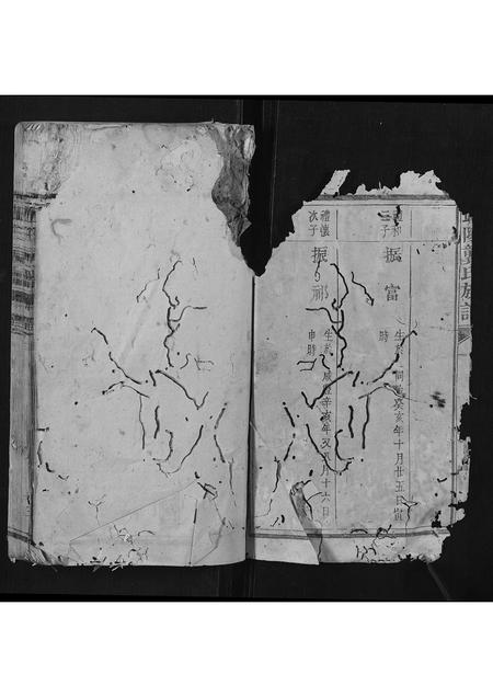 福建伍氏族谱-伍氏房谱[2卷].pdf电子版插图2