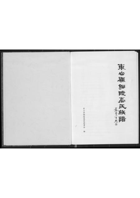 福建高氏族谱-东山县铜陵高氏族谱.pdf电子版插图2