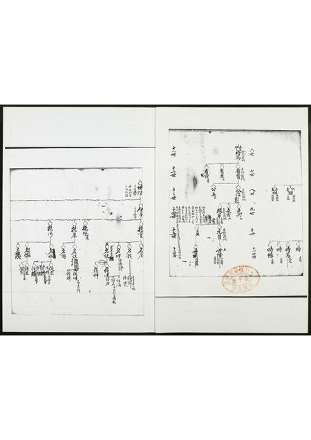 福建高氏族谱-武和高氏长房五支时笃派.pdf电子版插图2