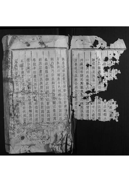 福建张氏族谱-张氏总谱.pdf电子版插图2 福建张氏族谱-张氏总谱.pdf电子版插图2