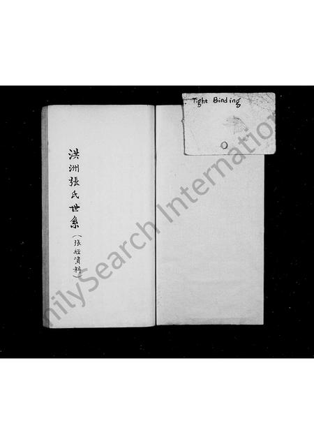 福建张氏族谱-洪洲张氏世系.pdf电子版插图2