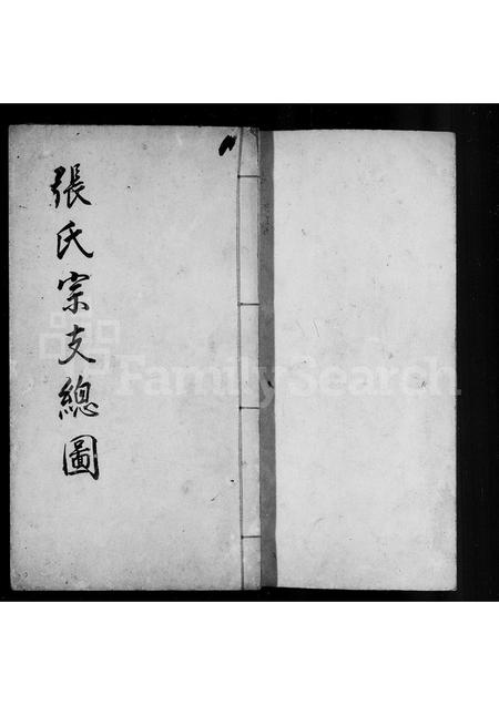 福建张氏族谱-[龙屿]张氏宗支总图.pdf电子版插图2