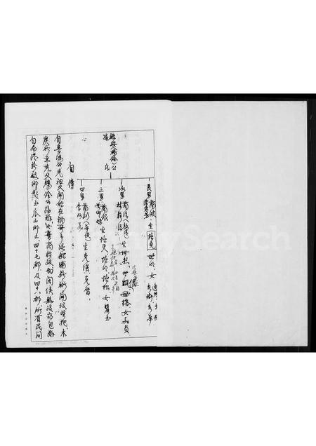 福建张氏族谱-[张氏]家谱录.pdf电子版插图2