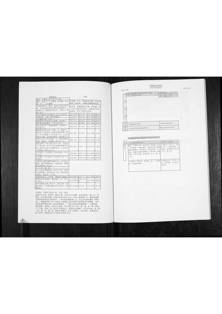 福建郑氏族谱-南湖郑氏族谱[不分卷].pdf电子版插图2