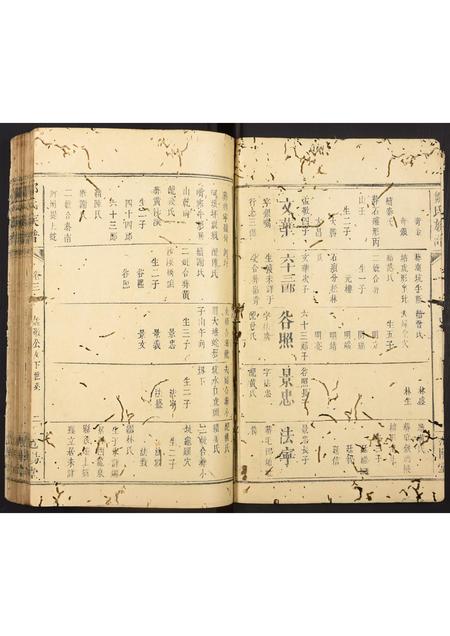 福建邹氏族谱-邹氏族谱.pdf电子版插图2