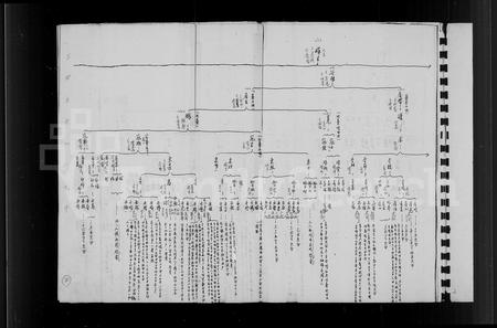 福建白氏族谱-白氏族谱 _ 安溪榜头白氏全族世系.pdf电子版插图2