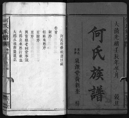 福建何氏族谱-何氏族谱 [9卷,首1卷].pdf电子版插图2