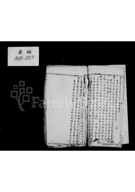 福建郭氏族谱-双阙郭氏族谱.pdf电子版插图2