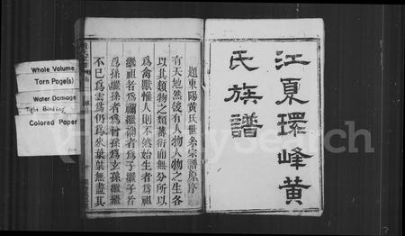 福建黄氏族谱-江夏环峰黄氏族谱.pdf电子版插图2