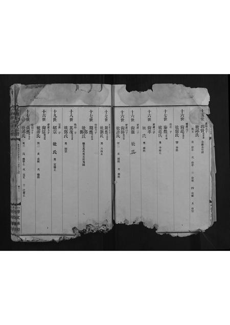 福建何氏族谱-中都何氏五修宗谱.pdf电子版插图2 福建何氏族谱-中都何氏五修宗谱.pdf电子版插图2