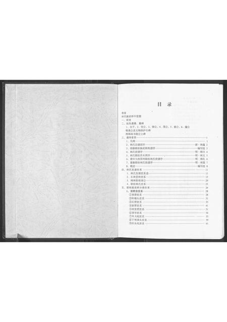 福建林氏族谱-联桂振武桥林氏族谱[1册].pdf电子版插图2