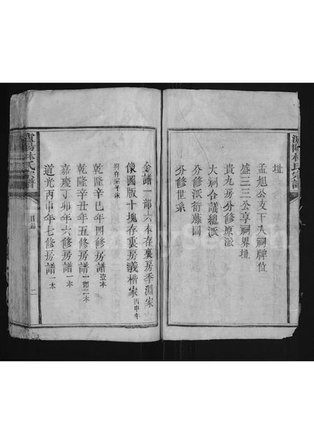 福建林氏族谱-泸阳林氏宗谱 [不分卷].pdf电子版插图2