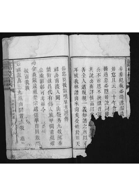 福建林氏族谱-泸阳林氏宗谱 [不分卷].pdf电子版插图2