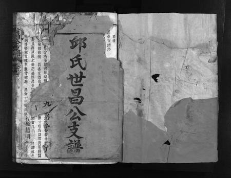 福建邱氏族谱-邱氏世昌公支谱 [3卷,首1卷].pdf电子版插图2