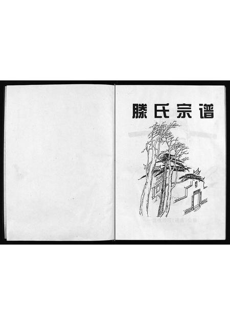福建滕氏族谱-滕氏宗谱 [不分卷].pdf电子版插图2
