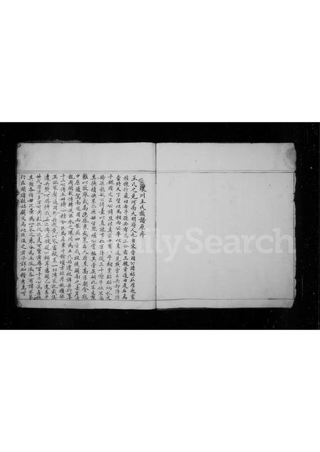 福建王氏族谱-太原王氏支谱.pdf电子版插图2