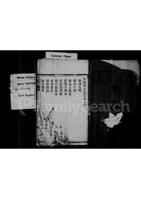 福建王氏族谱-太原郡王氏宗谱.pdf电子版插图2