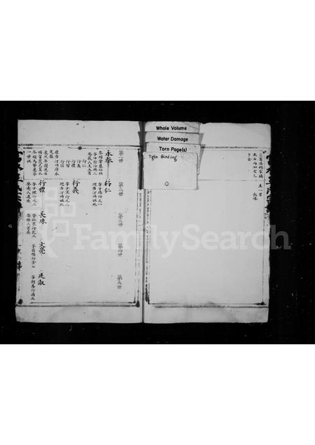 福建王氏族谱-太原郡王氏宗谱.pdf电子版插图2