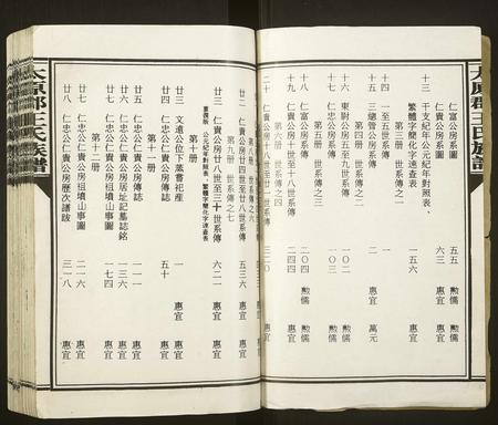 福建王氏族谱-太原郡王氏族谱[13册].pdf电子版插图2