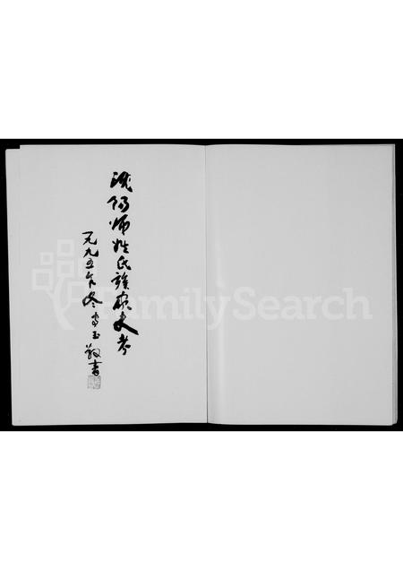 辽宁师氏族谱-沈阳师姓氏族家史考.pdf电子版插图2