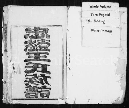 福建王氏族谱-忠懿王氏族谱.pdf电子版插图2