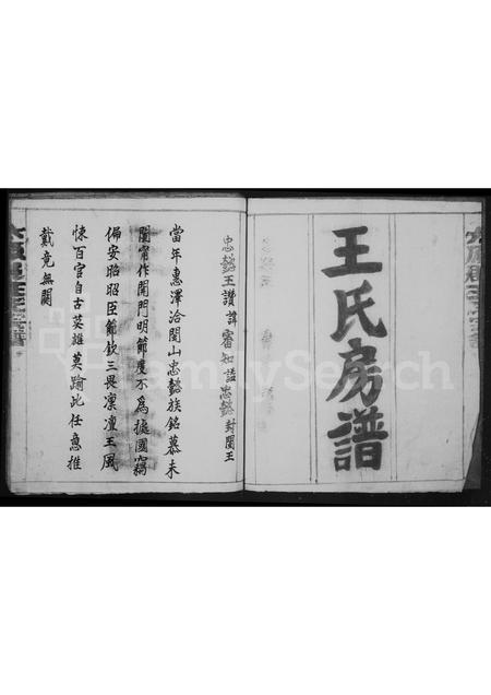 福建王氏族谱-王氏宗谱.pdf电子版插图2