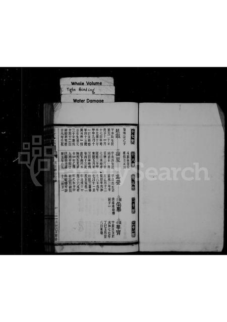 福建王氏族谱-王氏宗谱 _ 福鼎店下乡玉岐.pdf电子版插图2